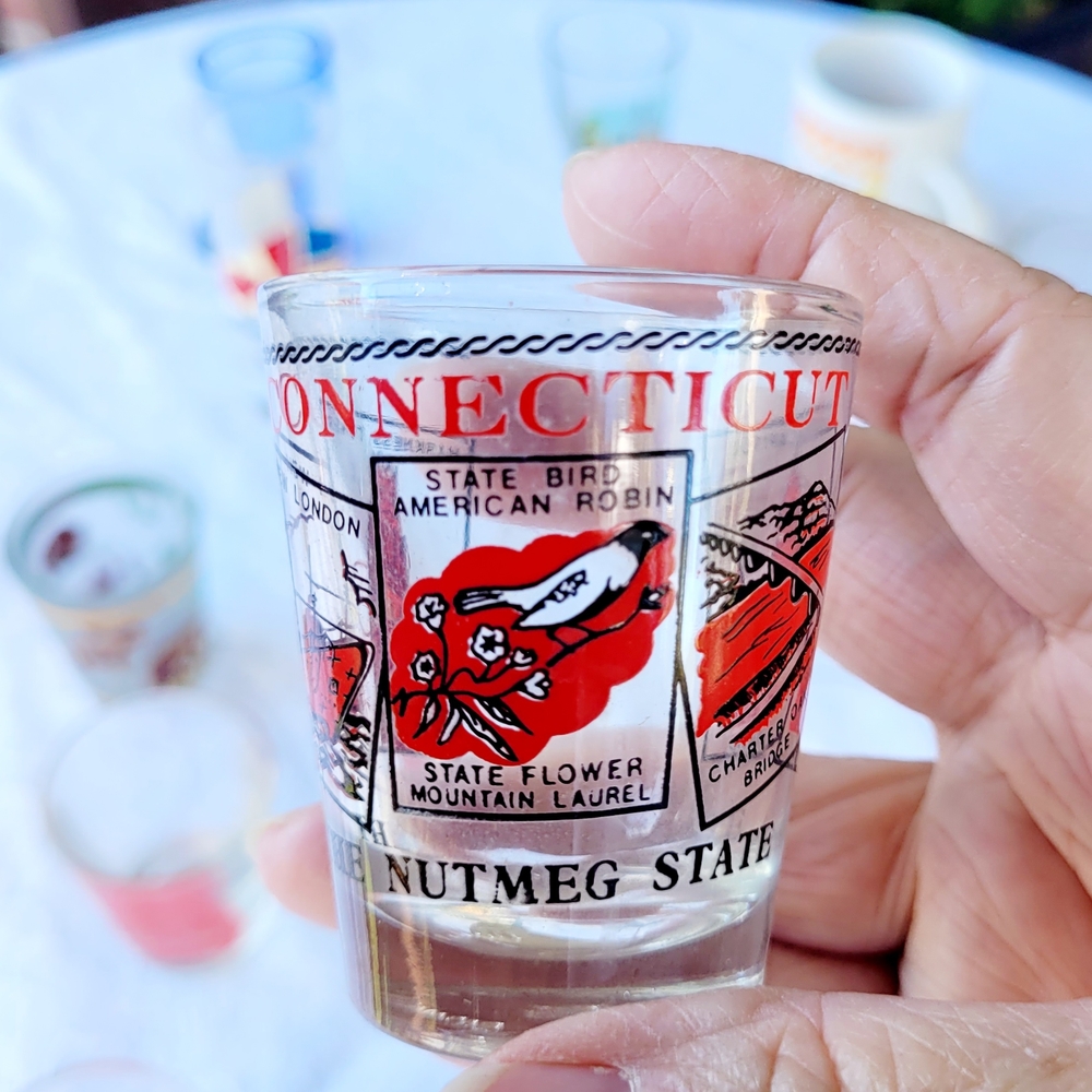 Assorted Shot Glass Set - Picture 11 of 16